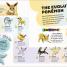 Pokémon Big Book of Facts - thumbnail of spread image 2 Thumbnail image of Pokémon Big Book of Facts - 2