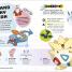Pokémon Big Book of Facts - thumbnail of spread image 5 Thumbnail image of Pokémon Big Book of Facts - 5