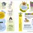 Pokémon Big Book of Facts - thumbnail of spread image 6 Thumbnail image of Pokémon Big Book of Facts - 6