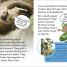 DK Super Readers Level 2 Sassy Sloth - thumbnail of spread image 1 Thumbnail image of DK Super Readers Level 2 Sassy Sloth - 1