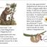 DK Super Readers Level 2 Sassy Sloth - thumbnail of spread image 3 Thumbnail image of DK Super Readers Level 2 Sassy Sloth - 3