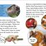 DK Super Readers Level 2 Sassy Sloth - thumbnail of spread image 5 Thumbnail image of DK Super Readers Level 2 Sassy Sloth - 5