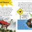 DK Super Readers Level 2 Daring Dinosaur - thumbnail of spread image 3 Thumbnail image of DK Super Readers Level 2 Daring Dinosaur - 3