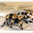 DK Super Readers Level 1 English-Spanish Bilingual Jungle Animals – Animales de la selva - thumbnail of spread image 4 Thumbnail image of DK Super Readers Level 1 English-Spanish Bilingual Jungle Animals – Animales de la selva - 4