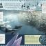 Animal Partnerships - thumbnail of spread image 1 Thumbnail image of Animal Partnerships - 1