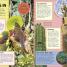 Animal Partnerships - thumbnail of spread image 4 Thumbnail image of Animal Partnerships - 4