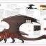 Dungeons & Dragons The Book of Dragons - thumbnail of spread image 3 Thumbnail image of Dungeons & Dragons The Book of Dragons - 3