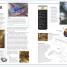 Dungeons & Dragons The Book of Dragons - thumbnail of spread image 4 Thumbnail image of Dungeons & Dragons The Book of Dragons - 4