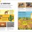 La oruga muy hambrienta Mi primera enciclopedia de animales (The Very Hungry Caterpillar's Very First Animal Encyclopedia) - thumbnail of spread image 1 Thumbnail image of La oruga muy hambrienta Mi primera enciclopedia de animales (The Very Hungry Caterpillar's Very First Animal Encyclopedia) - 1