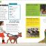 La oruga muy hambrienta Mi primera enciclopedia de animales (The Very Hungry Caterpillar's Very First Animal Encyclopedia) - thumbnail of spread image 3 Thumbnail image of La oruga muy hambrienta Mi primera enciclopedia de animales (The Very Hungry Caterpillar's Very First Animal Encyclopedia) - 3