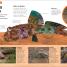 La oruga muy hambrienta Mi primera enciclopedia de animales (The Very Hungry Caterpillar's Very First Animal Encyclopedia) - thumbnail of spread image 5 Thumbnail image of La oruga muy hambrienta Mi primera enciclopedia de animales (The Very Hungry Caterpillar's Very First Animal Encyclopedia) - 5