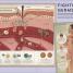 Explore: Science - thumbnail of spread image 4 Thumbnail image of Explore: Science - 4