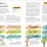 Philosophy A Visual Encyclopedia - thumbnail of spread image 7 Thumbnail image of Philosophy A Visual Encyclopedia - 7