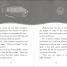 The Secret Explorers and the Comet Collision - thumbnail of spread image 2 Thumbnail image of The Secret Explorers and the Comet Collision - 2