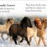 DK Reader Level 1: Welcome To Iceland - thumbnail of spread image 2 Thumbnail image of DK Reader Level 1: Welcome To Iceland - 2