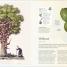 Thumbnail image of The Tree Book - 7