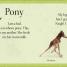 See How They Grow Pets - thumbnail of spread image 2 Thumbnail image of See How They Grow Pets - 2