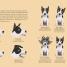 Thumbnail image of How Dogs Work - 3