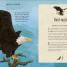 Animals Lost and Found - thumbnail of spread image 3 Thumbnail image of Animals Lost and Found - 3