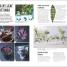 Grow Houseplants - thumbnail of spread image 3 Thumbnail image of Grow Houseplants - 3