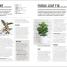 Grow Houseplants - thumbnail of spread image 4 Thumbnail image of Grow Houseplants - 4