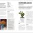 Grow Houseplants - thumbnail of spread image 5 Thumbnail image of Grow Houseplants - 5