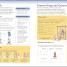 Thumbnail image of Eyewitness Workbooks Ancient Egypt - 2