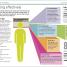Project Management - thumbnail of spread image 3 Thumbnail image of Project Management - 3