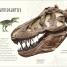 Thumbnail image of Dinosaurs and Other Prehistoric Life - 7