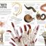 Animal Knowledge Genius! - thumbnail of spread image 2 Thumbnail image of Animal Knowledge Genius! - 2