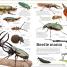 Animal Knowledge Genius! - thumbnail of spread image 3 Thumbnail image of Animal Knowledge Genius! - 3