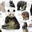 Animal Knowledge Genius! - thumbnail of spread image 5 Thumbnail image of Animal Knowledge Genius! - 5