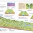 Help Your Kids with Geography, Grades 5-10 - thumbnail of spread image 1 Thumbnail image of Help Your Kids with Geography, Grades 5-10 - 1