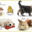 My First Bilingual Baby Animals / los animales bebés - thumbnail of spread image 3 Thumbnail image of My First Bilingual Baby Animals / los animales bebés - 3