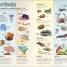 La vida secreta de los océanos (Earth's Incredible Oceans) - thumbnail of spread image 1 Thumbnail image of La vida secreta de los océanos (Earth's Incredible Oceans) - 1