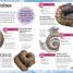 My Book of Fossils - thumbnail of spread image 2 Thumbnail image of My Book of Fossils - 2