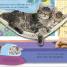 I Love My Kitten - thumbnail of spread image 4 Thumbnail image of I Love My Kitten - 4