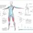 Thumbnail image of Science of HIIT - 3