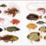 The Seashore Sticker Anthology - thumbnail of spread image 2 Thumbnail image of The Seashore Sticker Anthology - 2