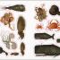 The Seashore Sticker Anthology - thumbnail of spread image 3 Thumbnail image of The Seashore Sticker Anthology - 3
