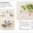 Thumbnail image of Succulents - 3