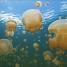 Ocean - thumbnail of spread image 1 Thumbnail image of Ocean - 1