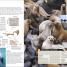 Ocean - thumbnail of spread image 7 Thumbnail image of Ocean - 7