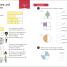 Math — No Problem! Fractions, Grade 2 Ages 7-8 - thumbnail of spread image 1 Thumbnail image of Math — No Problem! Fractions, Grade 2 Ages 7-8 - 1