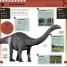 Jurassic World Pocket Expert - thumbnail of spread image 3 Thumbnail image of Jurassic World Pocket Expert - 3