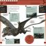 Jurassic World Pocket Expert - thumbnail of spread image 4 Thumbnail image of Jurassic World Pocket Expert - 4