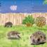 Roly the Hedgehog - thumbnail of spread image 3 Thumbnail image of Roly the Hedgehog - 3