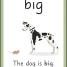 English for Everyone Junior Sight Words Flashcards - thumbnail of spread image 2 Thumbnail image of English for Everyone Junior Sight Words Flashcards - 2