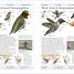 Thumbnail image of Birds of Canada - 2