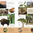 The World's Wildest Places - thumbnail of spread image 5 Thumbnail image of The World's Wildest Places - 5